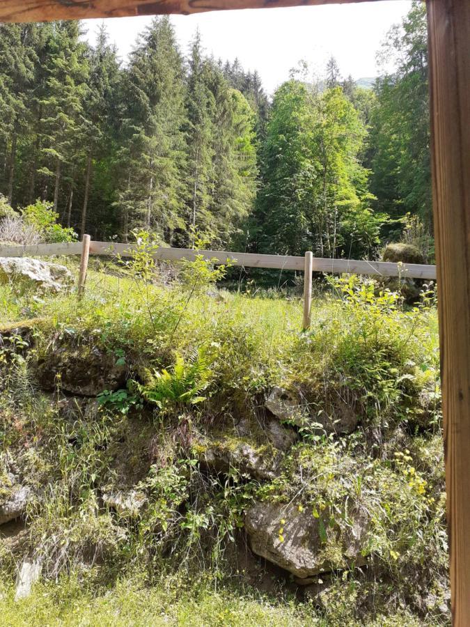 Chalet Le Plan Du Rtia Морзін Екстер'єр фото